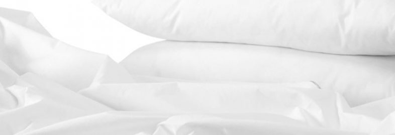 	Hotel Quality Pillows & Duvets Image