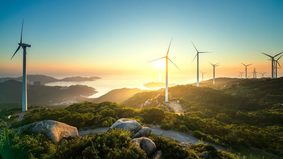 Sustainability & Accreditations
